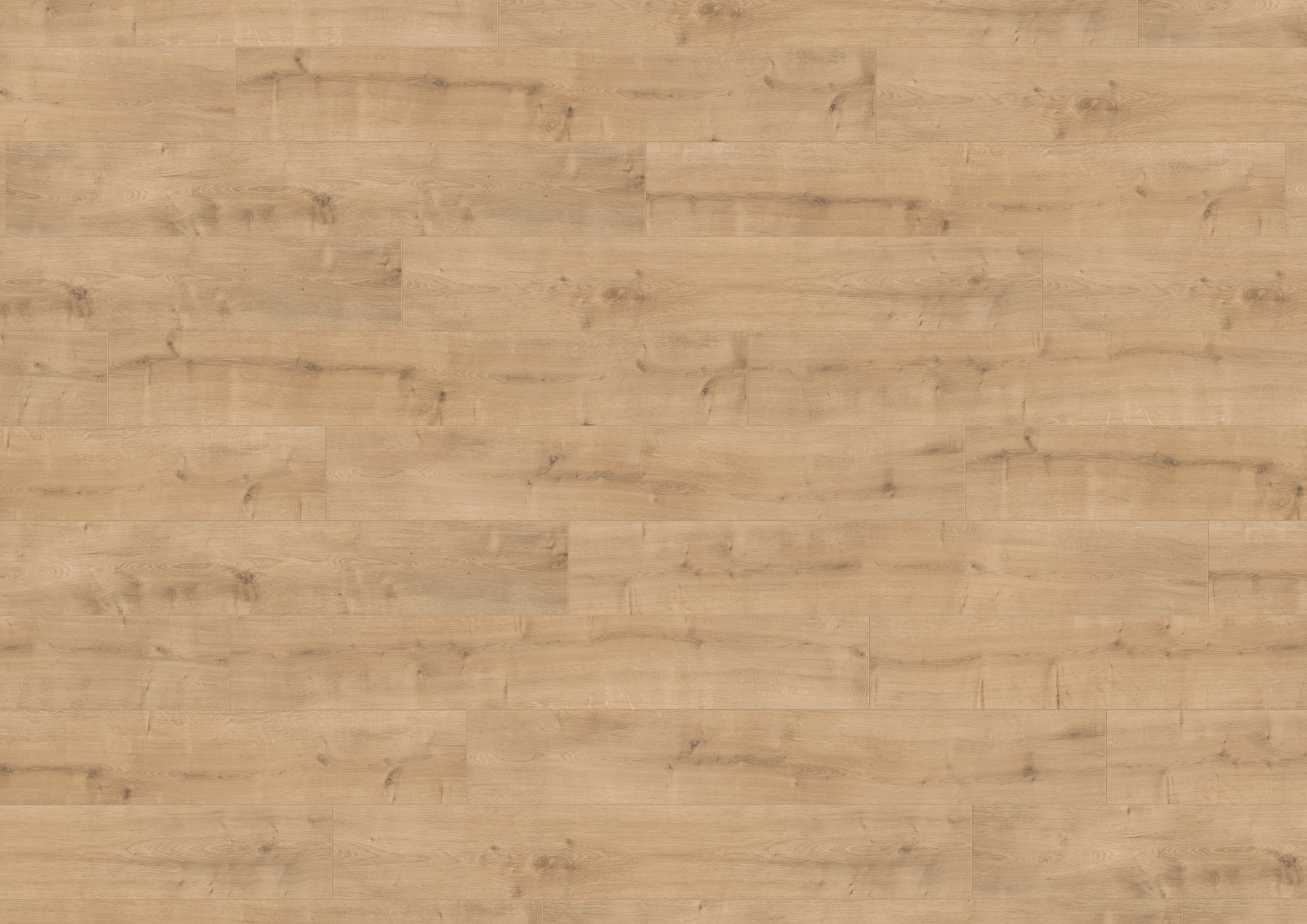 F1834 格里爾原橡