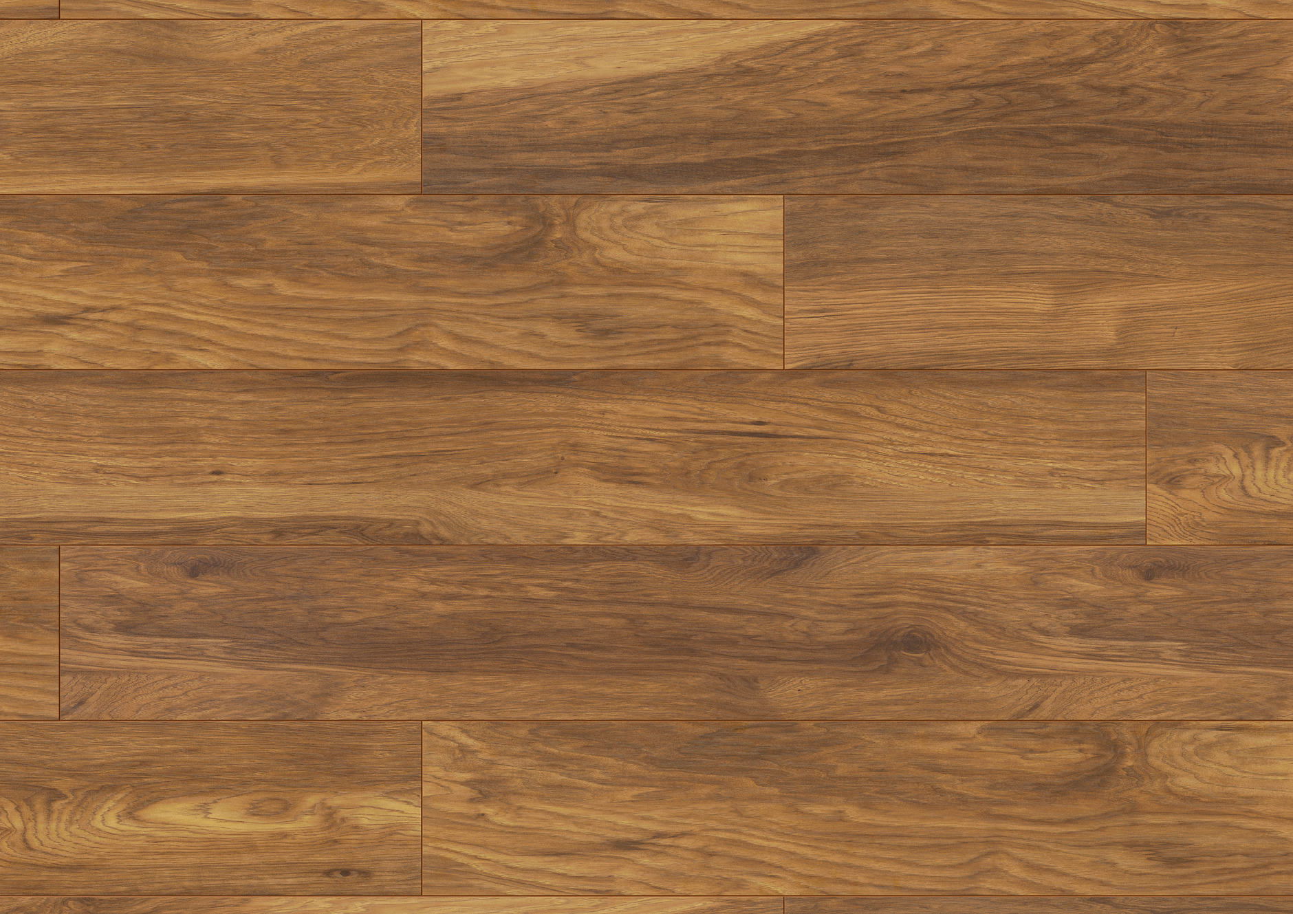 G1844 馬德堡橡木